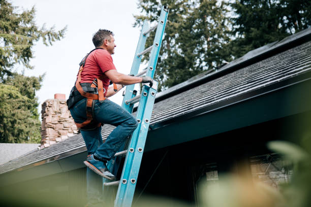 Steel Roofing in Ellenton, FL