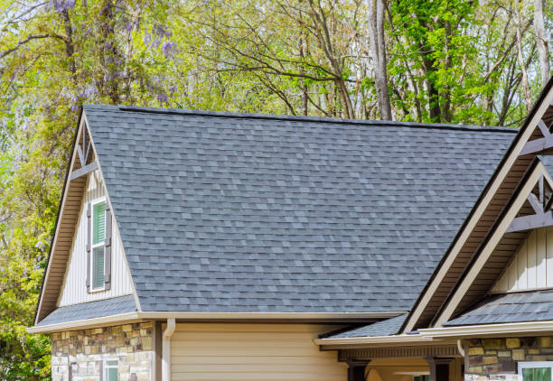 Best Green or Eco-Friendly Roofing Solutions  in Ellenton, FL